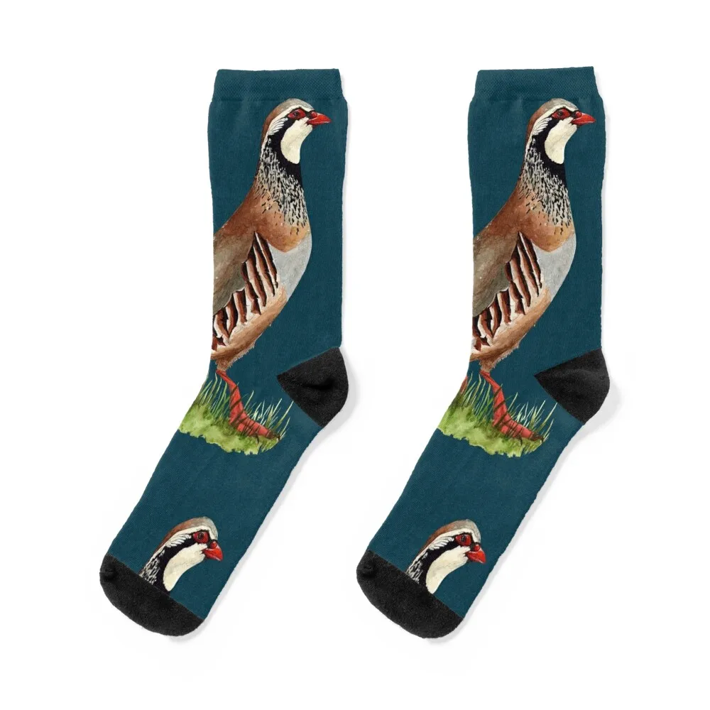 

RED LEGGED PARTRIDGE-Alectoris rufa Socks Men's warm winter essential floor Women's Socks Men's