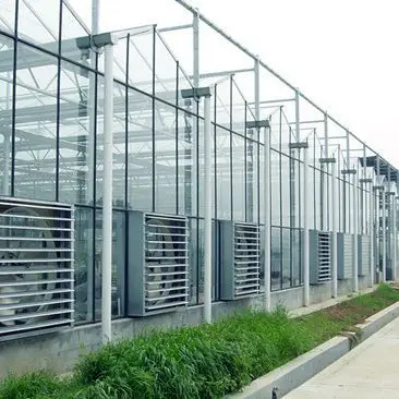 

2025Glass greenhouse frame, intelligent greenhouse, shading greenhouse, vegetable and flower greenhouse