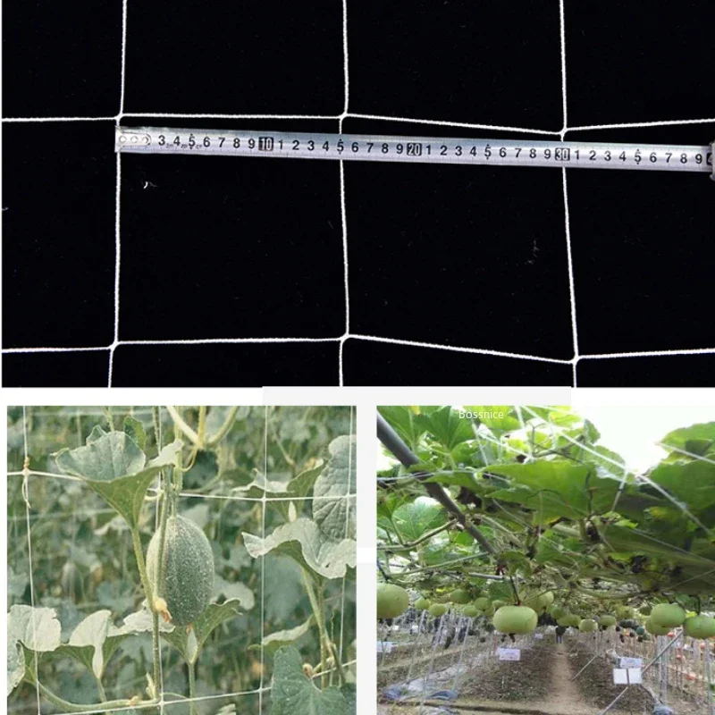 Siatka ogrodowa, wytrzymały poliester, wsparcie dla roślin, winorośl, wspinaczka, hydroponika, siatka ogrodowa, akcesoria wielofunkcyjne