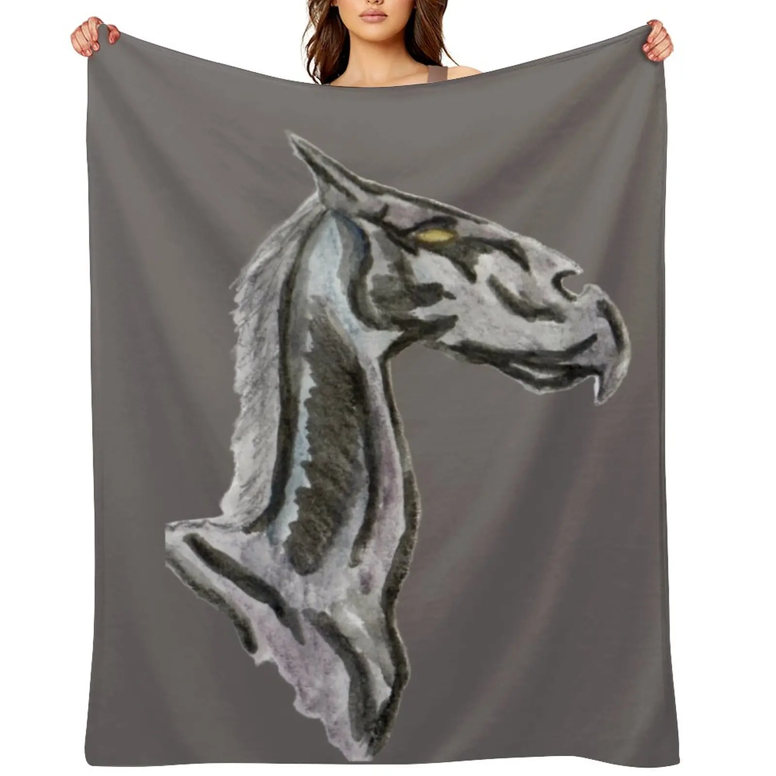 

You're just as sane as I am. Throw Blanket Thins Luxury Throw Sofas Blankets