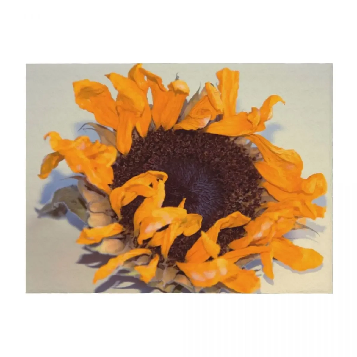 

sunflower Throw Blanket Thermals For Travel Luxury Throw Camping For Baby Blankets