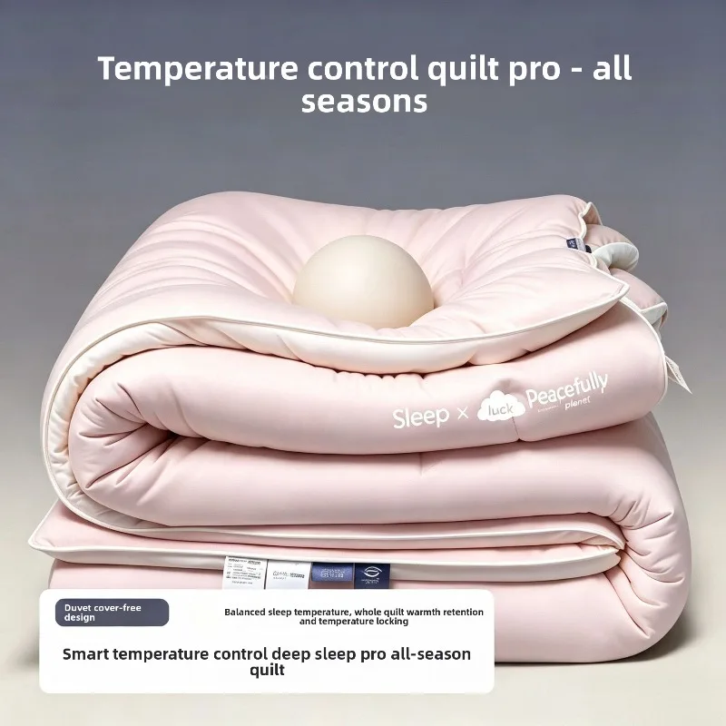 Deep Sleep Four Seasons Comforter Winter Warmth Dormitory Summer Cool Quilt Thick and Warm Winter Quilt Core Winter Thick Quilt