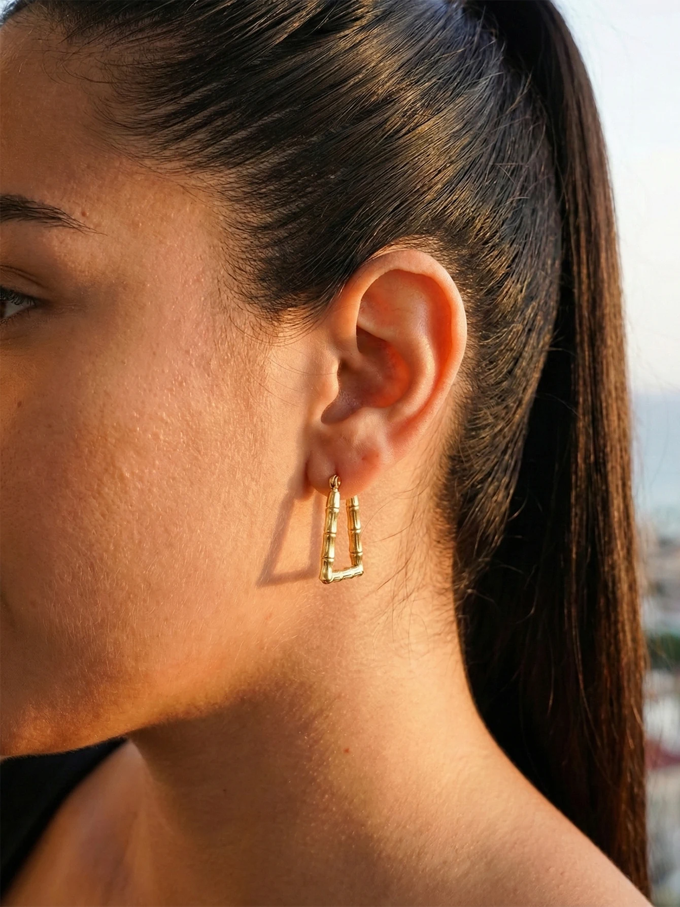 European American Internet Celebrity Hot Sale Stainless Steel Hoop Earrings Women's Light Luxury Cross-border Elegant Fashion