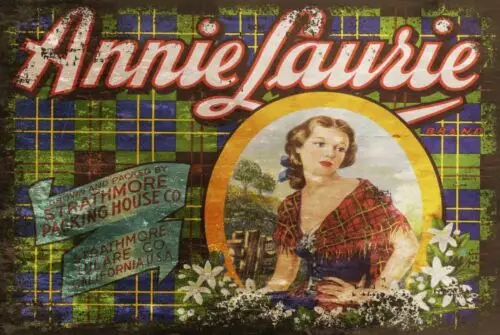 Californian Orange Crate Label Image Vintage Style Metal Sign Tartan Annie Lauri