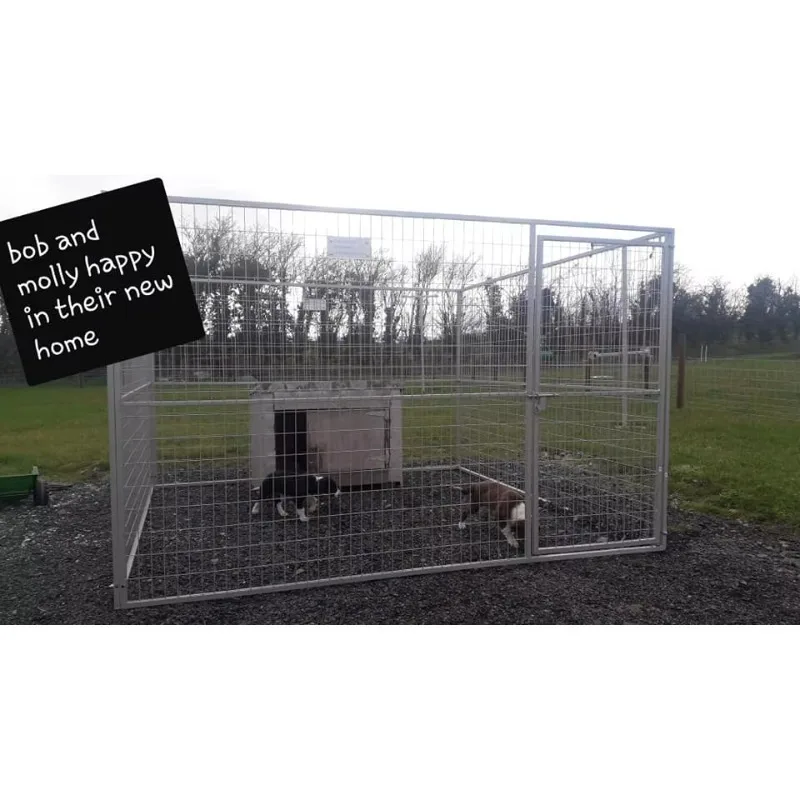 Wholesale High Quality Large Outdoor Used Cheap Metal Dog Cage Kennel Carrier  and Running Fence Panels