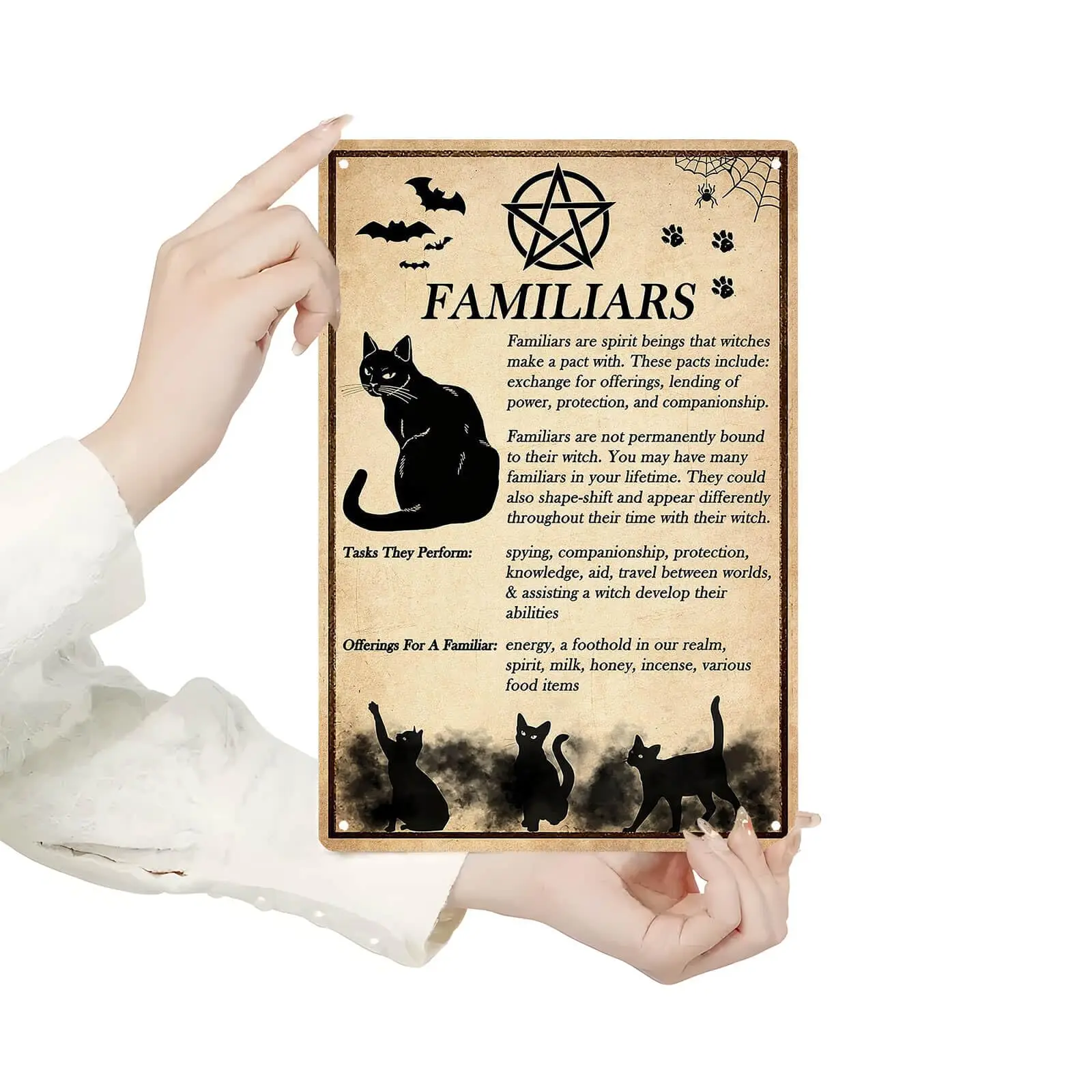 Homely Accents Witchy Black Cat Poster, Salem Cat Witchcraft Vintage Decor, Metal Tin Sign for Halloween Farmhouse, Porch, Bathr