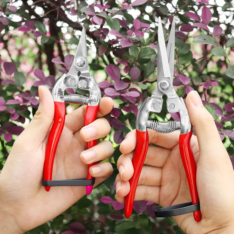 Pruning Snips, Micr… - image