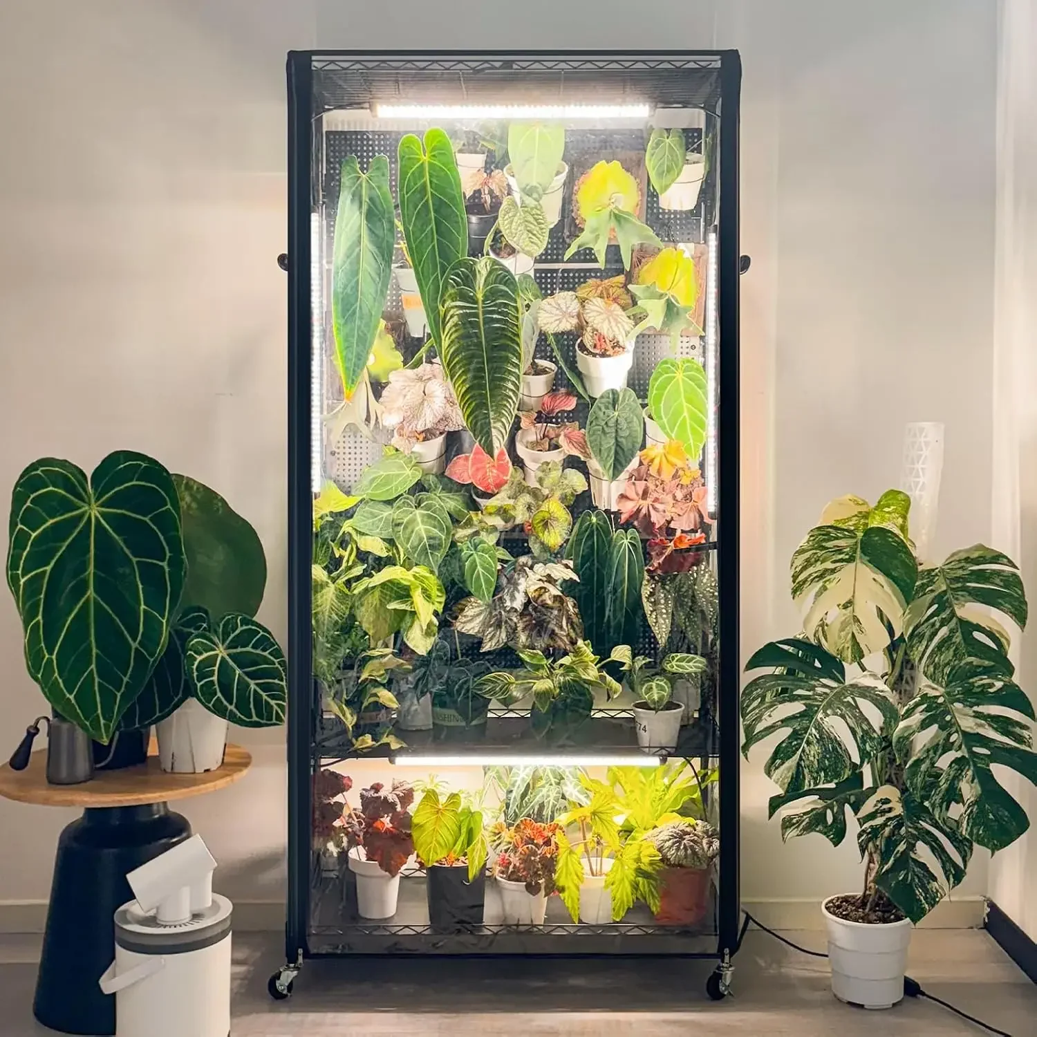 

Бестселлер: Комнатная теплица-шкаф с перфорированной панелью, комнатная теплица с фитолампой, 4 штуки по 96 Вт, полный спектр, идеально подходит для выращивания в помещении