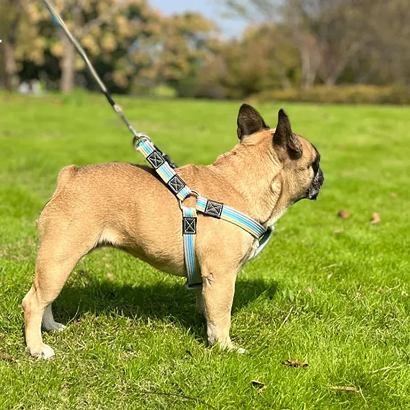 Dog Training Leash 2m Long Pet Lead Non-Slip Rubber Nylon Training Walking Rope Work Dog Leashes For Small Medium Large Big Dogs_voghion.com