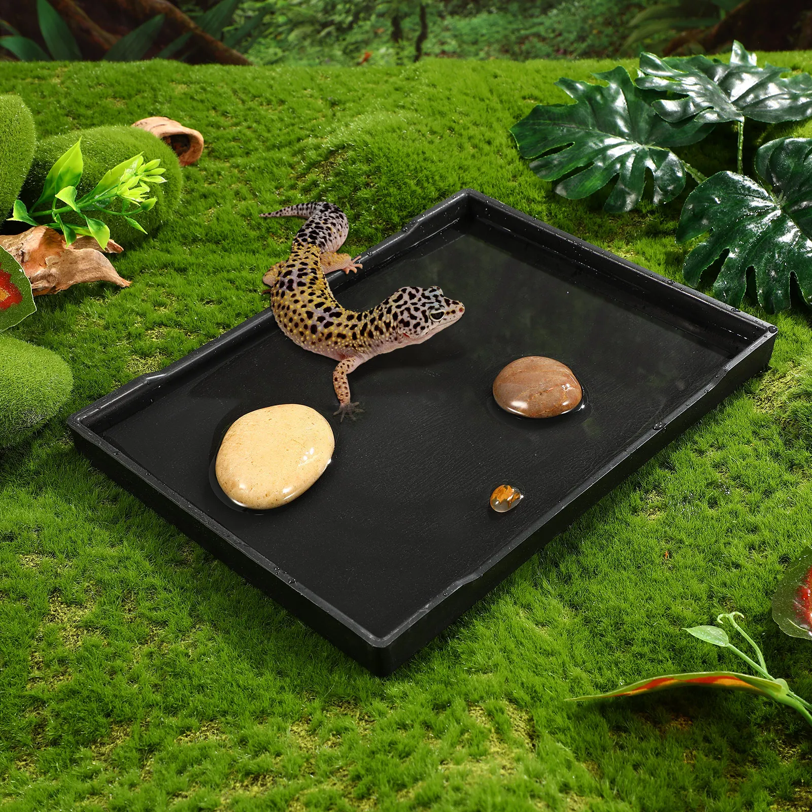 

Reptile Water Bowl Food Dish Durable Material Smooth Surface Weighted Design Tortoise Accessories Lizard Baby Pool Feeding