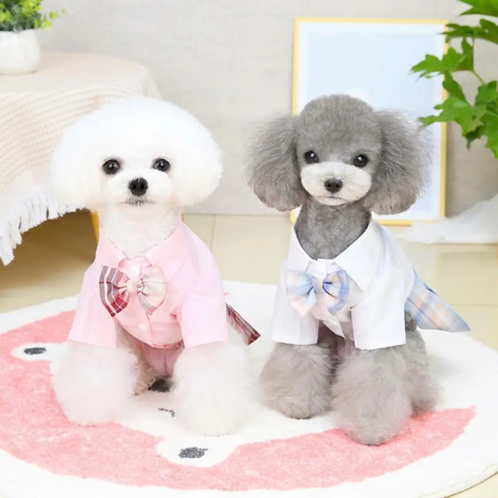 Dog Dress Turndown Collar Two-legged Cat Puppy Dress Lattice Design Beautiful Kitten Dogs Skirt Pet Clothes For Walking Outside