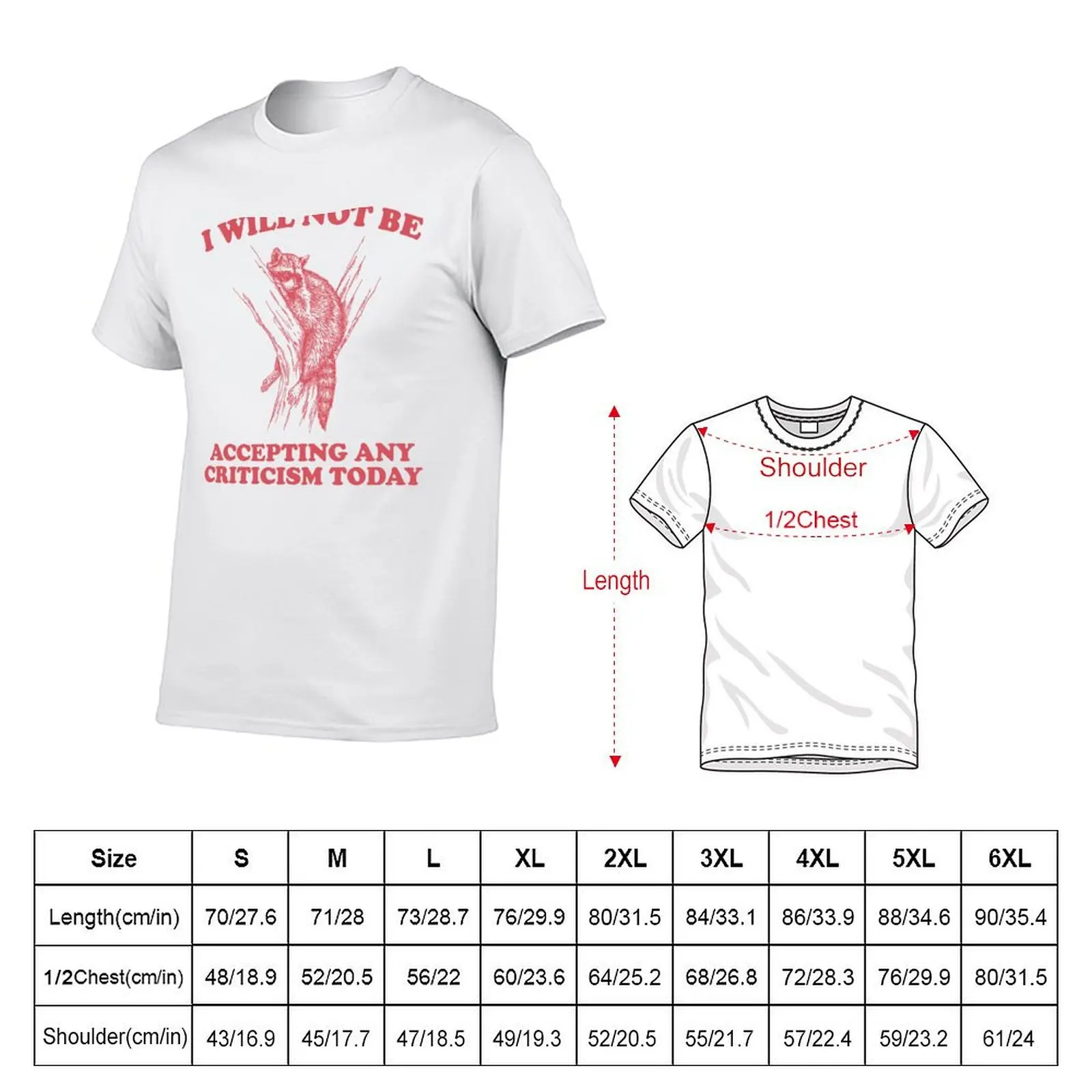 Will Not Be Accepting Any Criticism Today Retro Shirt, Funny Raccoon Meme T-Shirt Sporty Casual Quick Dry T-Shirt