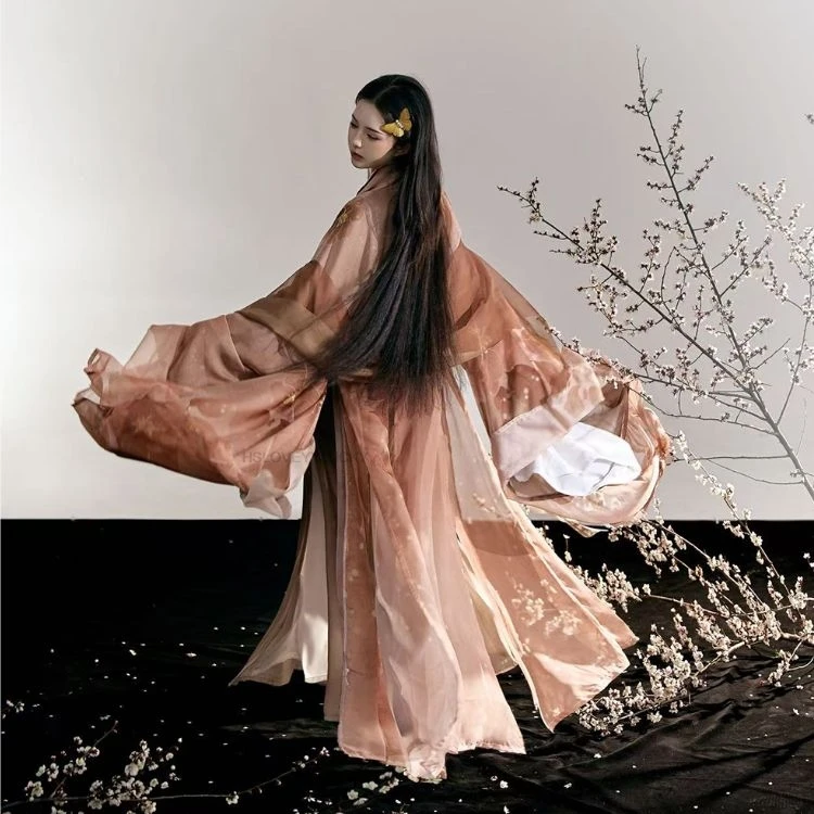 

Chinese Style Hanfu Dress Women Ancient Traditional Cosplay Costume Vintage Party Brown Hanfu Plus Size Vintage Fairy Hanfu