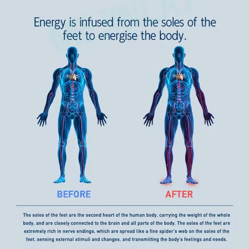 

Oly-lifee P90 Life Terahertz Foot Massager with Foot Heating and Warming Function to Promote Blood Circulation (300W)