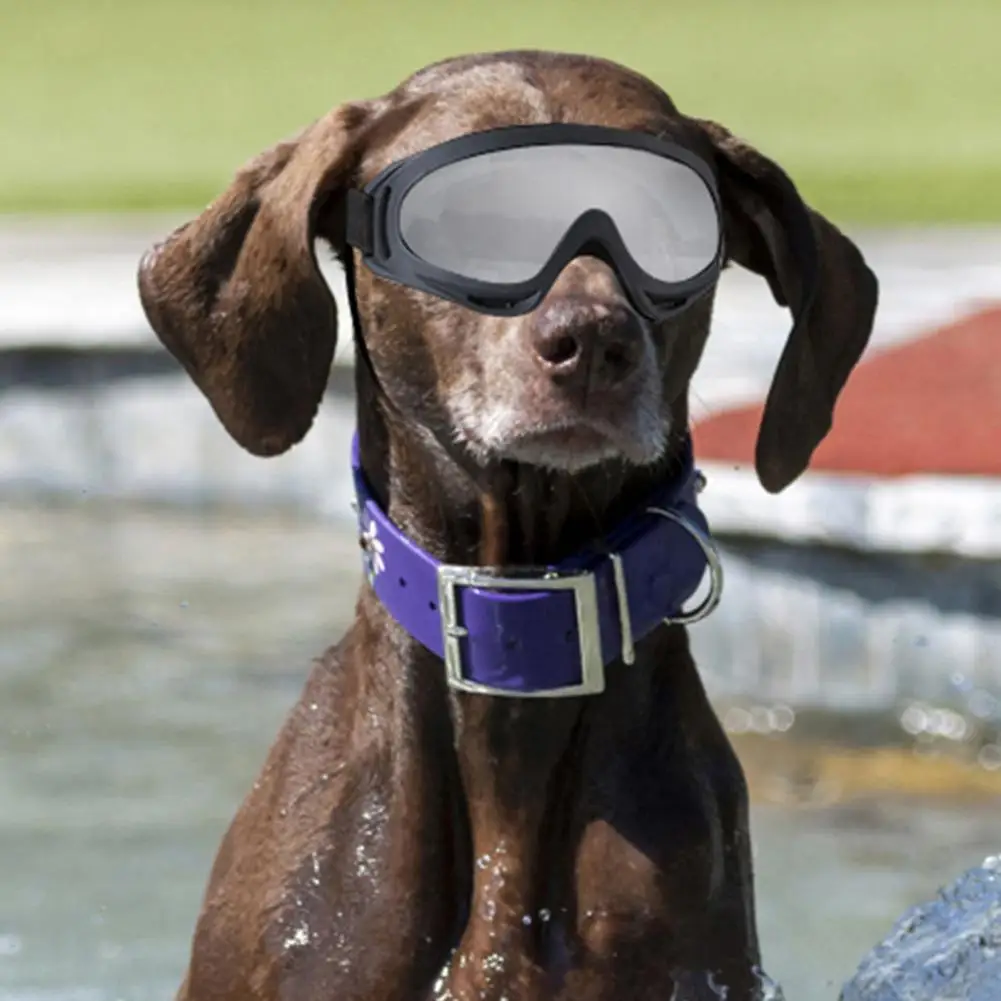 

Windproof Dog Glasses Corgi Goggles Stylish Dog Sunglasses for Small to Medium Breed Uv Protection Windproof Anti-fog Goggles