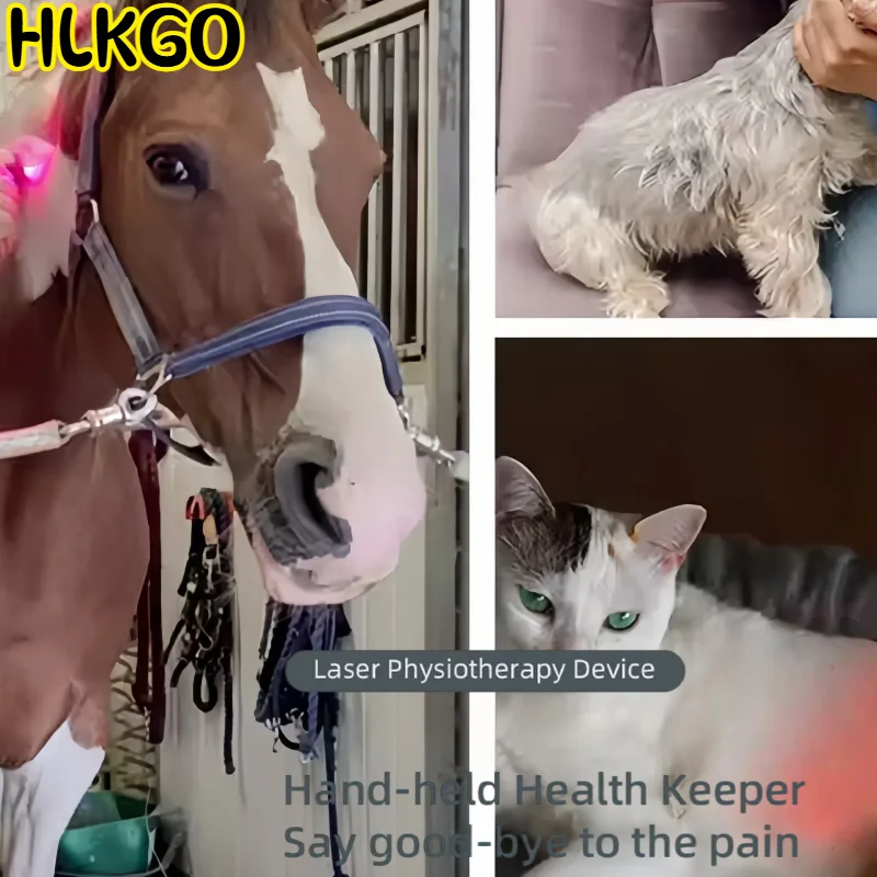 

Инфракрасная лазерная терапия B Cure 808 нм LLLT-устройство медицинского класса для лечения боли в шее и воспаления суставов