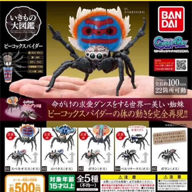 【 In Stock 】 Authentic Bandai Twisted Egg Biological Picture Mirror Australian Peacock Spider Wolf Spider Simulation Insect Cogn