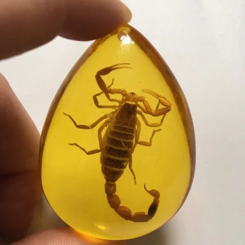 Cantharias drop shape scorpion butterfly bee insect amber pendant