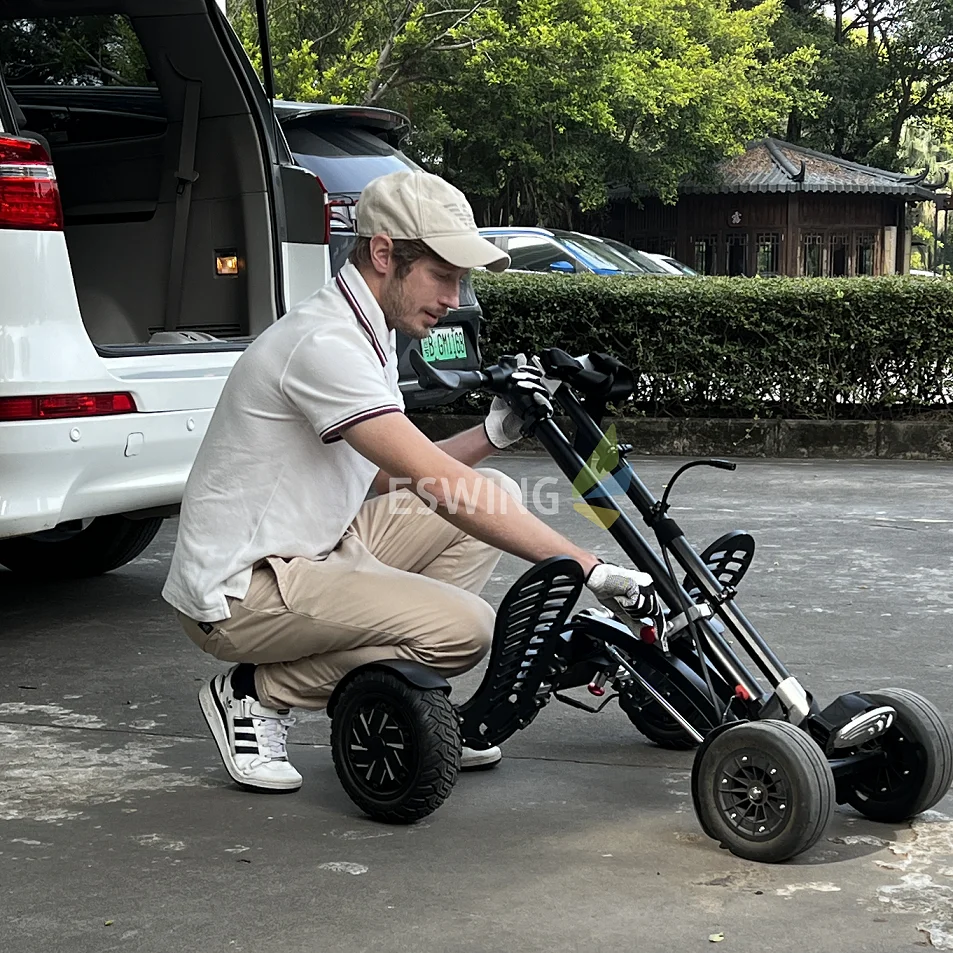 

Складные мини-электрические тележки для гольфа ES1388, 1600 Вт, двойной мотор, сумка для гольфа для личной езды, транспортер