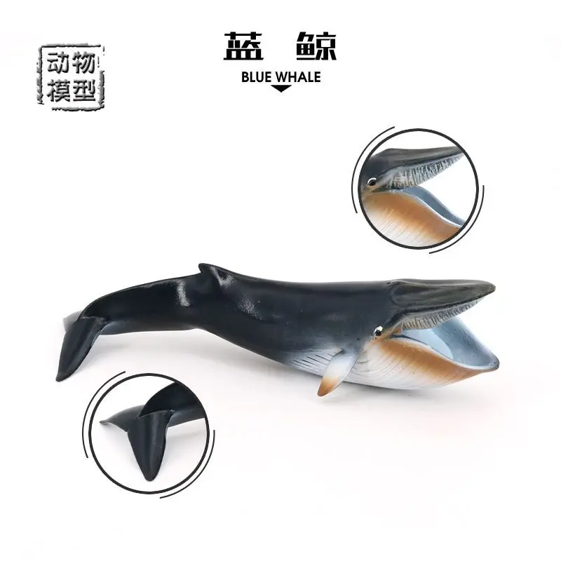 

Simulated marine animal model Solid plastic animal toy Open mouth blue whale submarine creature Children's cognitive toy