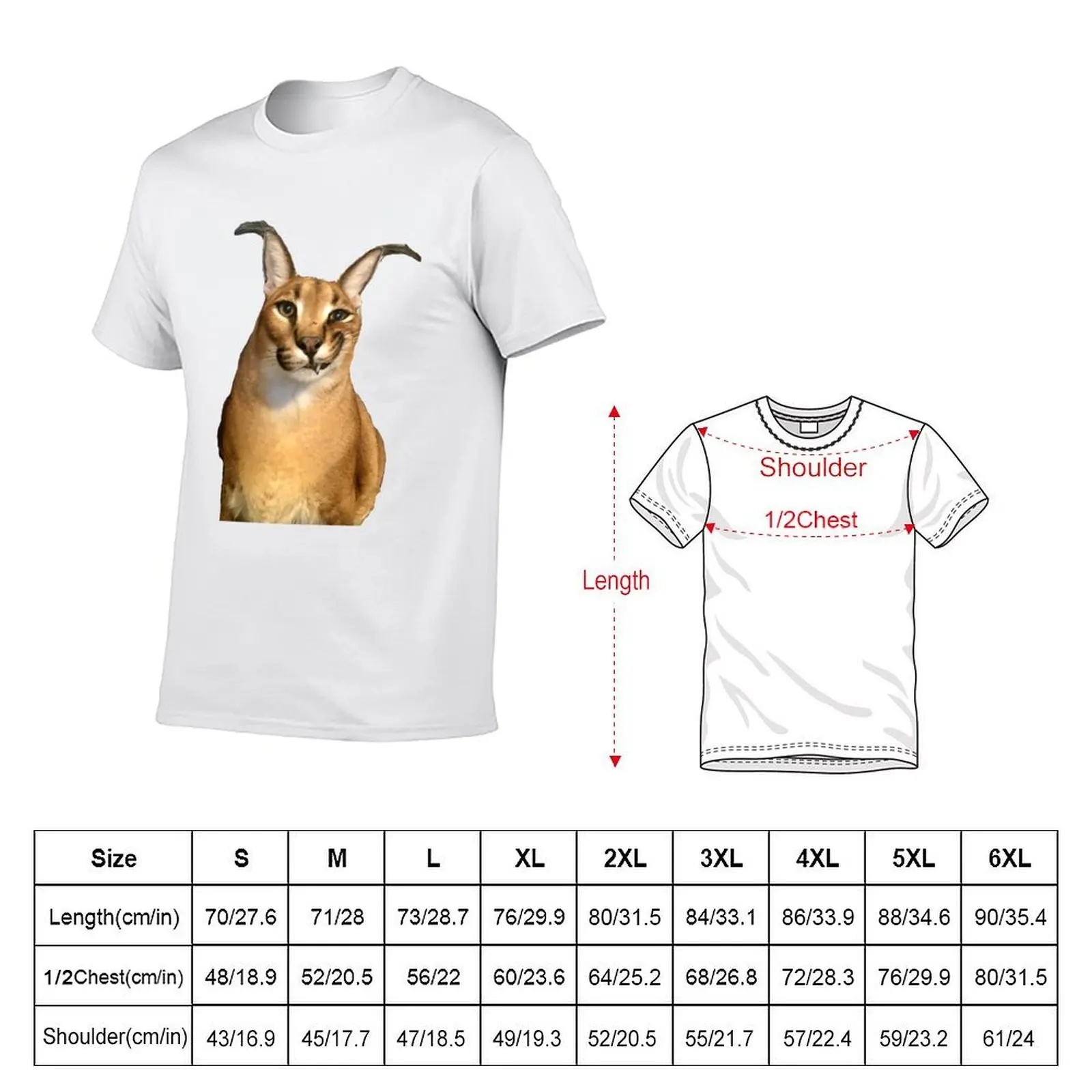 Big Floppa T-Shirt summer clothes anime plain t shirts men