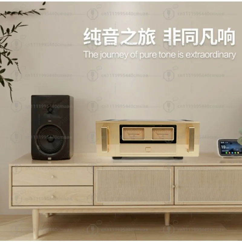 Class A and Class B  High Power Amplifier Household Hifi Fever Class Pure Power  Amplifier