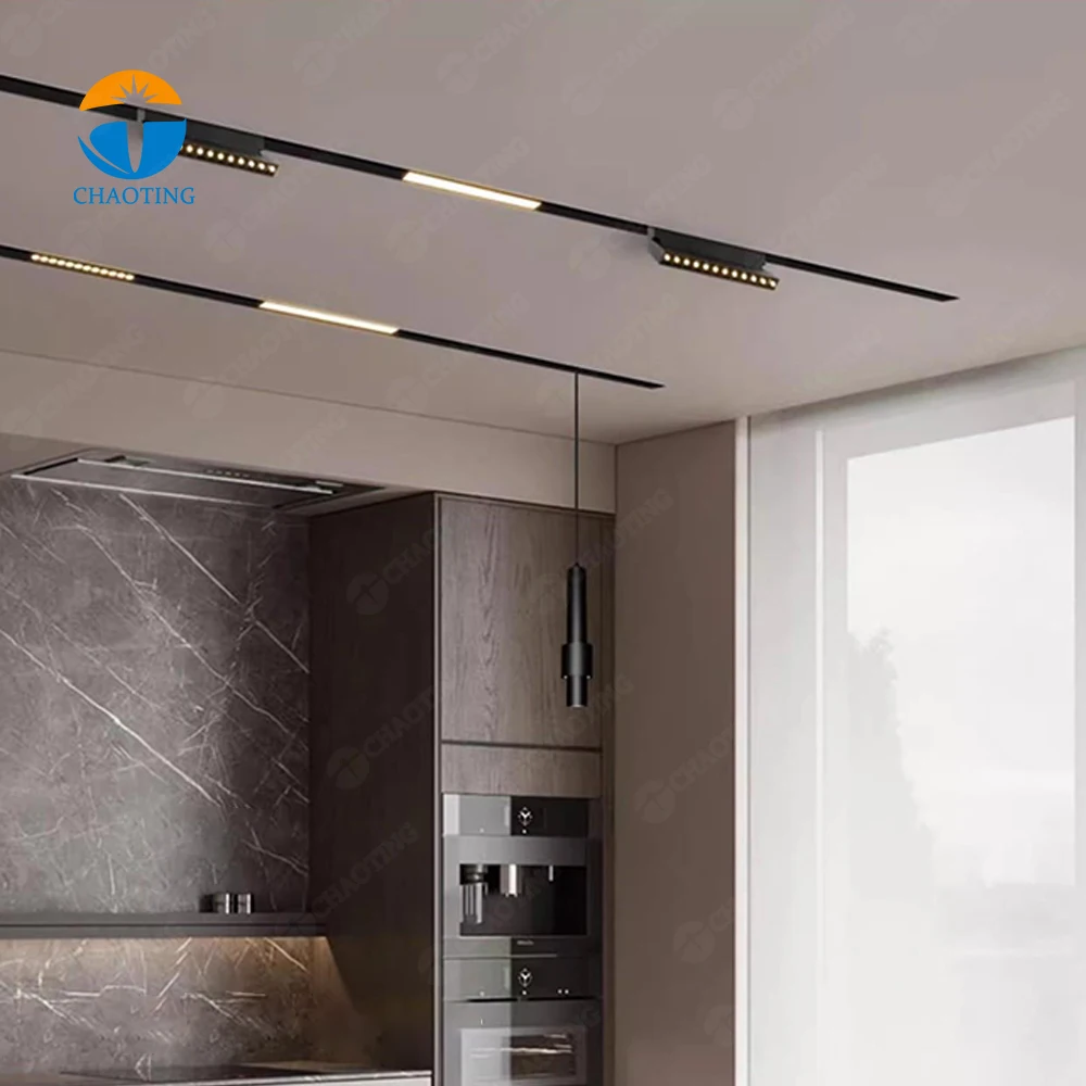 High Lumen Magnet Track Light Restaurant Decoration Magnetic LED Pendant Chandeliers Light LED 12W 20W 30W Magnetic Ball Light