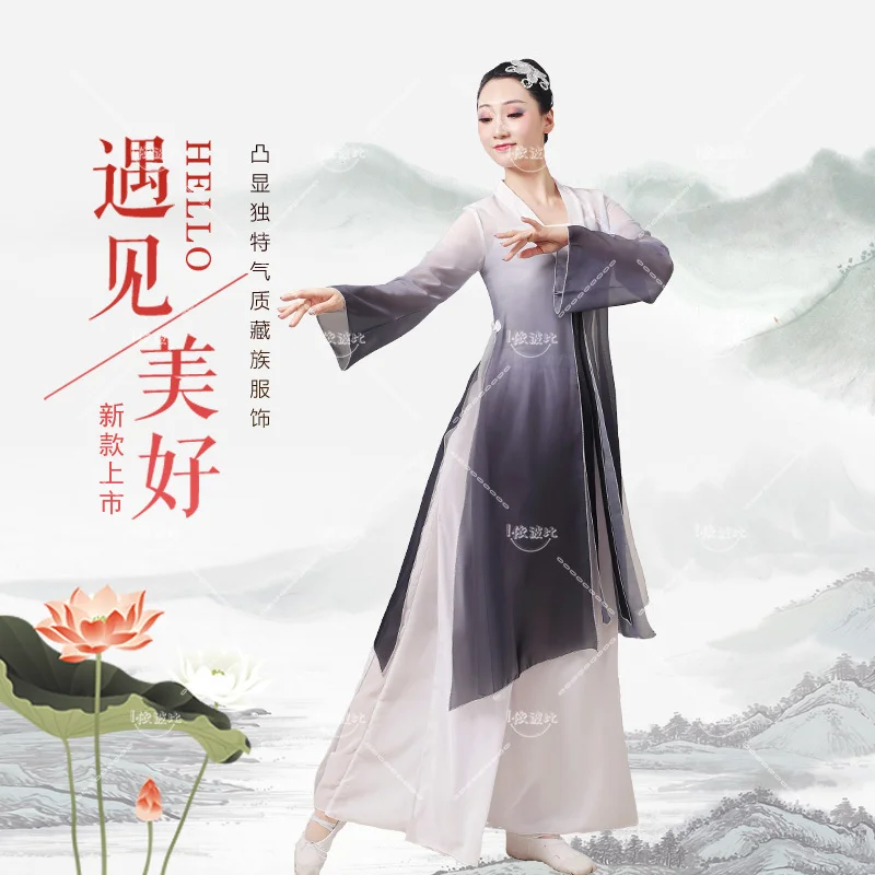 Classical dance costumes Chinese dance art test dance costumes body rhyme costumes gradually change color elegant Women's wear