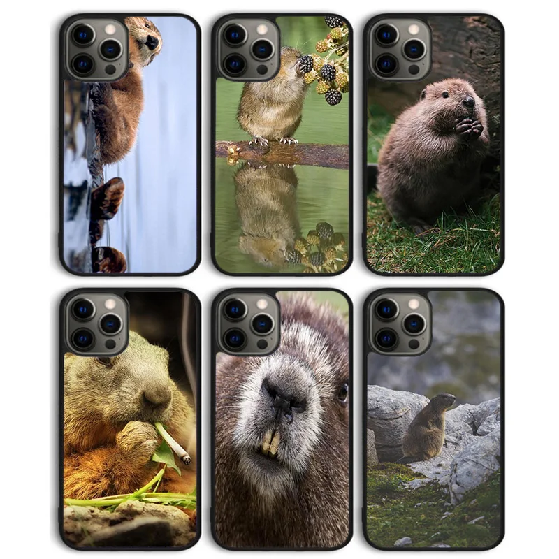 Animal Beaver Phone Case Back Cover for iPhone 16 15 SE2020 14 13 11 12 Pro Max mini XS XR X PlusS Shell Coque