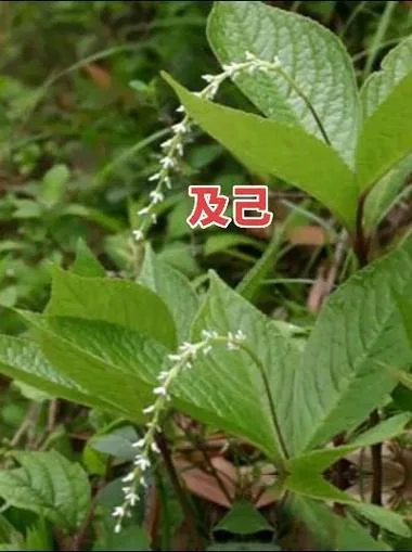 

4 шт., 110 мм, RC короткий курс, комплект ободов колес для пустыни, шестигранная ступица 12 мм для 1/10 RC Trxs, тригги с дистанционным управлением