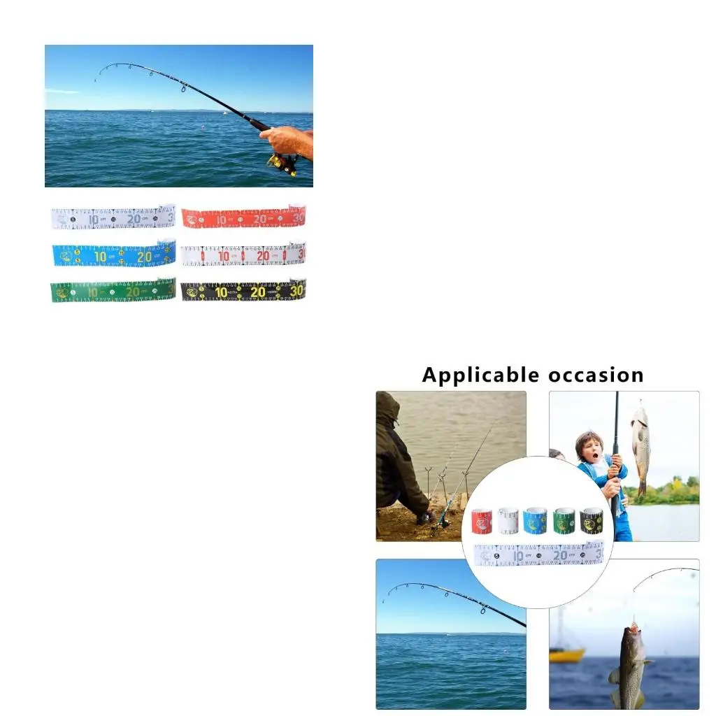 Fish Measuring Rule…