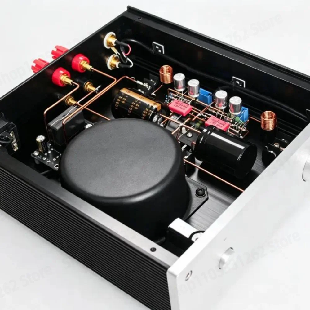 TDA2052 Point to Point Amplifier with Clear Transparent Vocals and Distinct Three Frequency Layers
