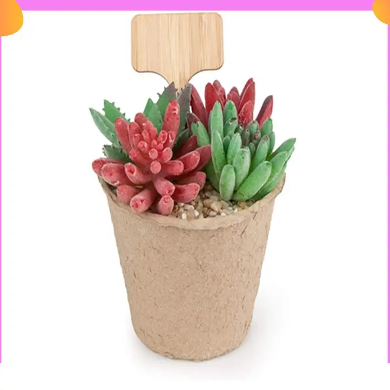 

A23P 50PCS T-Type Plant Labels Eco-Friendly Wooden Plant Tags Markers For Bonsai Seed Potted Herbs Flowers Tool