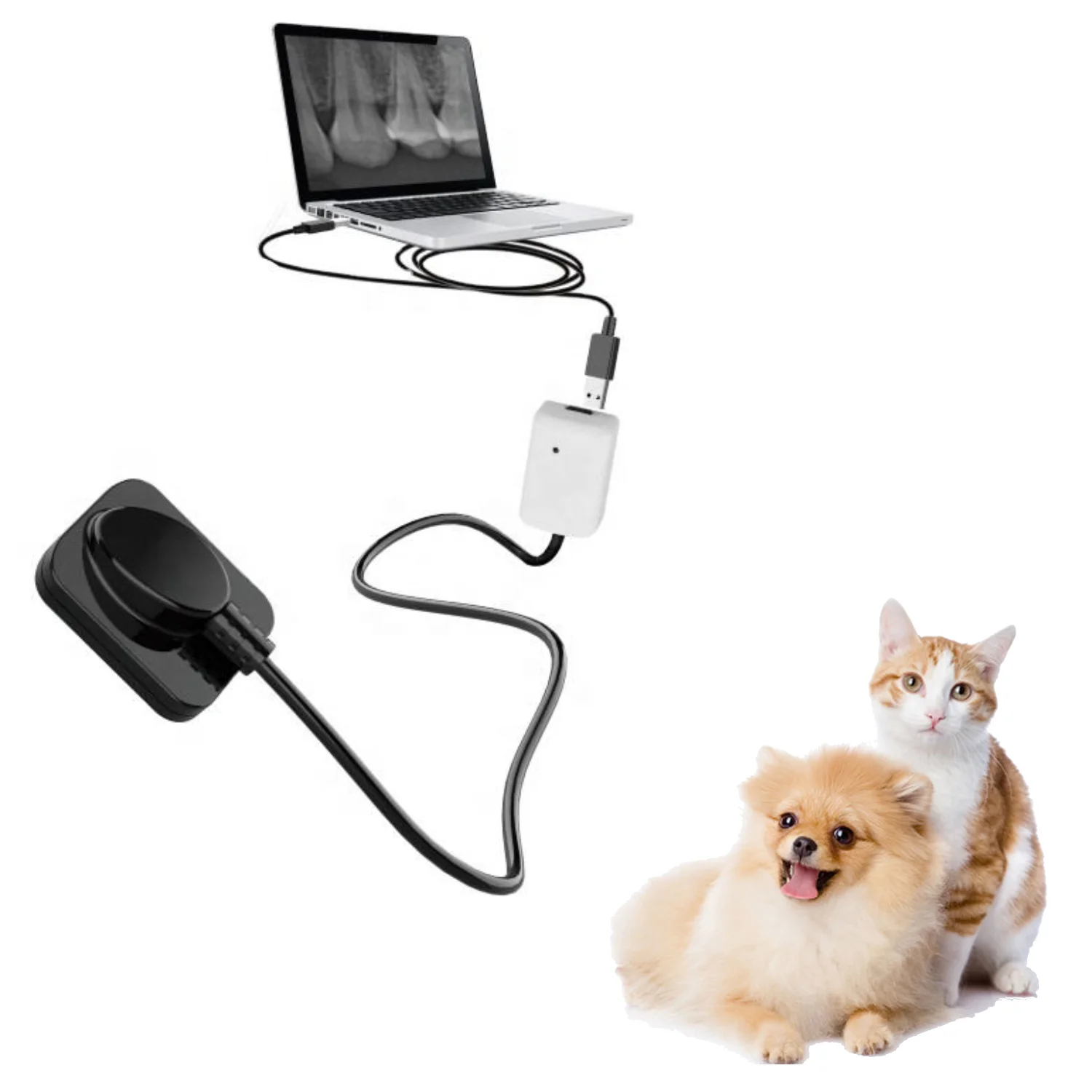 

Рентгеновский аппарат XVD2121Vet для собак и кошек Vericare, ветеринарный дентальный цифровой датчик