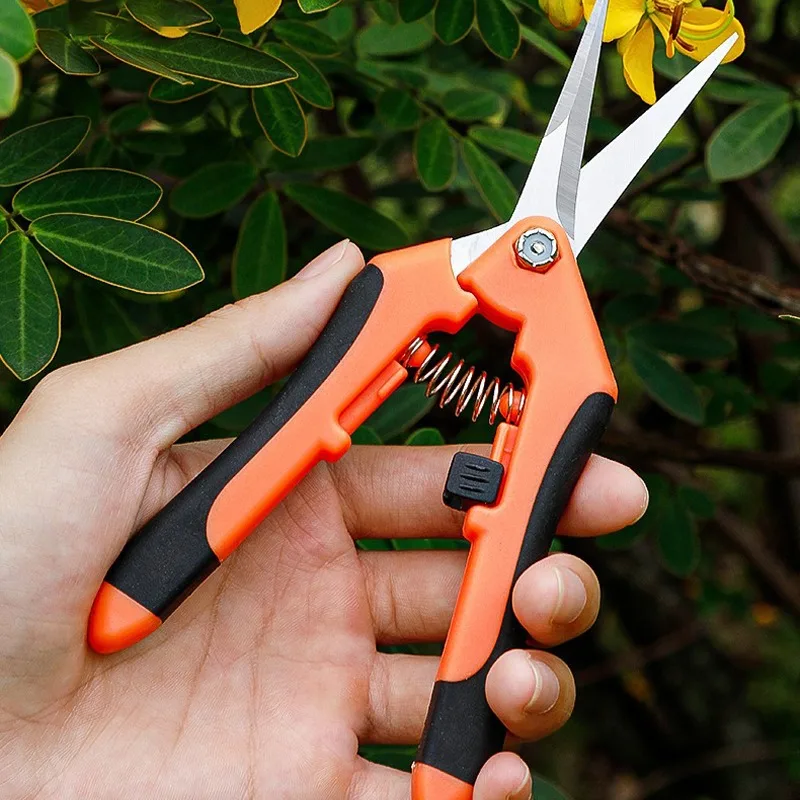 Garden Stainless Steel Gardening Shears Flower Scissors Fruit Grape Thinning Pruning Shears Elbow Straight Gardening Scissors