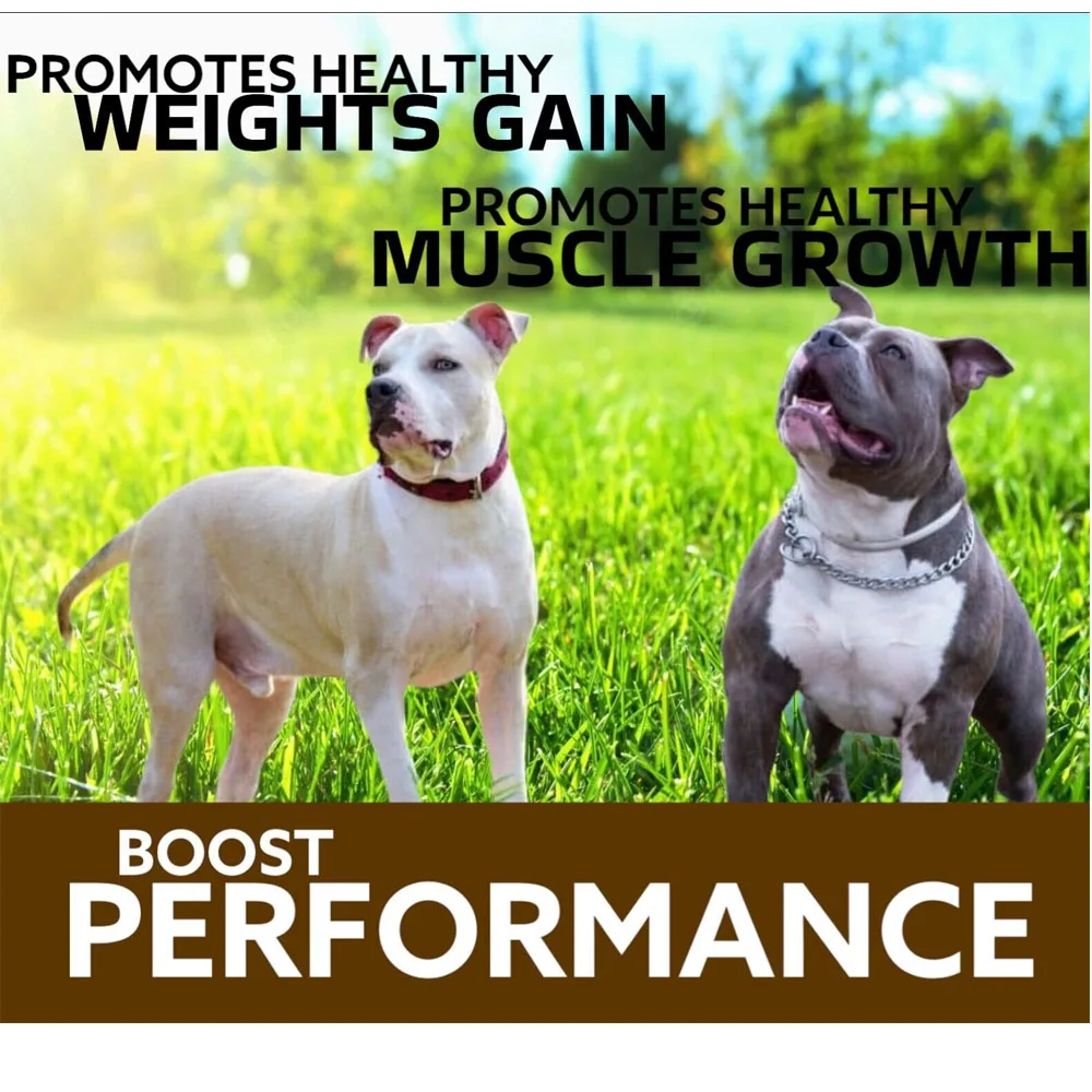 PREDATOR 30 Chew Muscle Builder For Dog, Increases Muscle Mass, Power, Speed. Canine Nutricional Maximum Performance Supplement