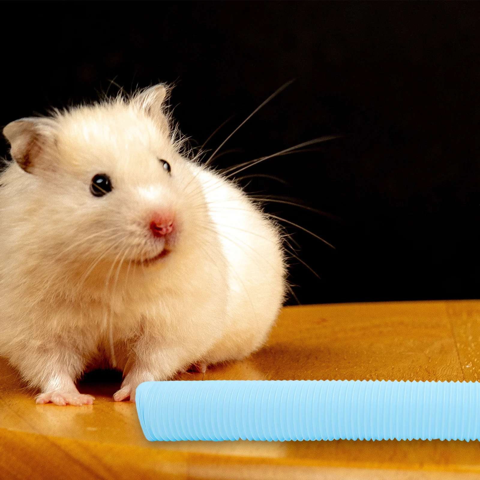 

Plastic Hamster Tunnel Foldable Flexible Hideout Tube for Small Animals Exercise Play Run Training Tunnel for Cage Accessories