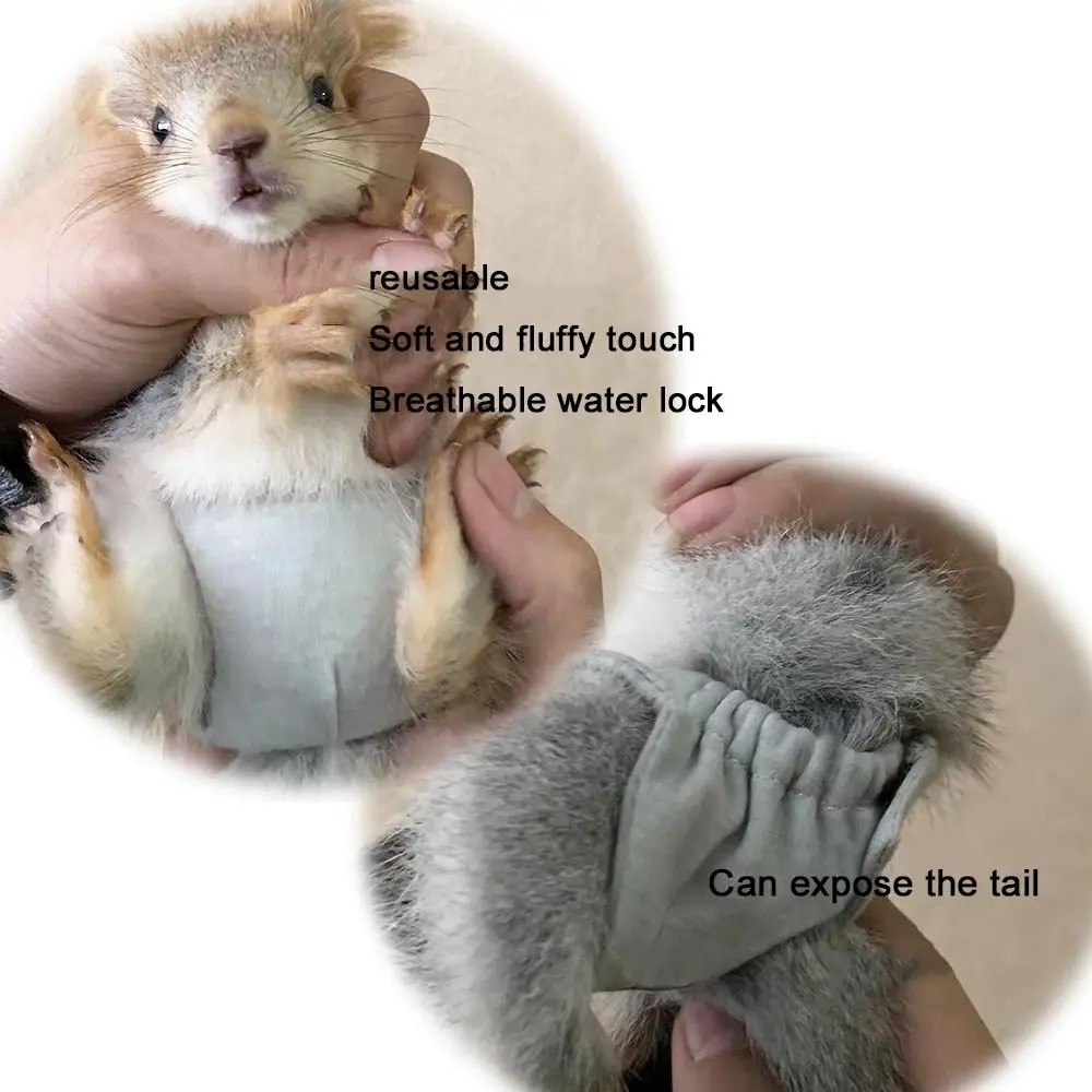 

Absorbent Squirrel Diapers Breathable Leak-Proof Pet Menstruation Diaper Adjustable Squirrel Physiological Underwear