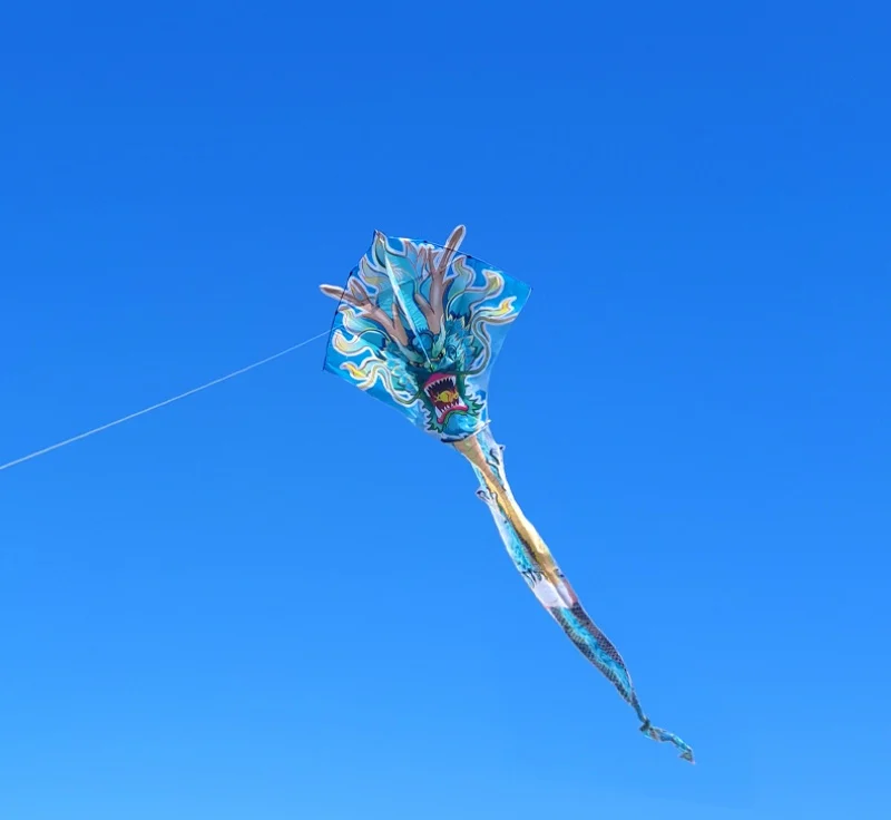 free shipping China Dragon giant kite adults kite professional kite board dragon fly kite machine Air bounce