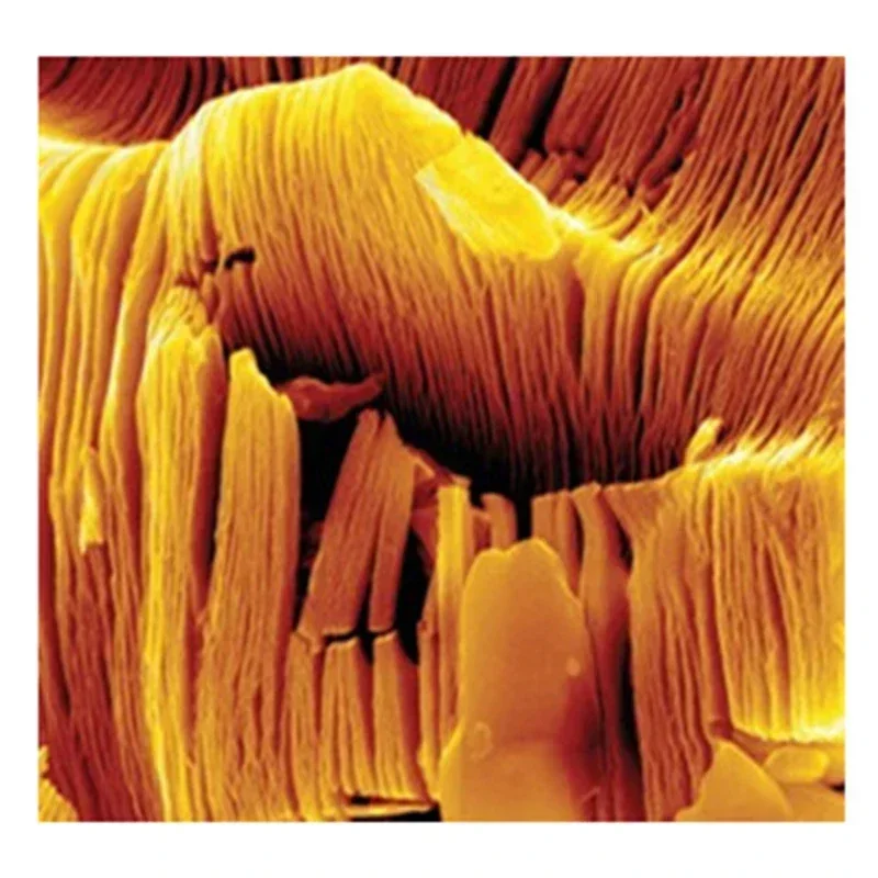 Ti3C2 Two dimensional electrode material Mxene phase series