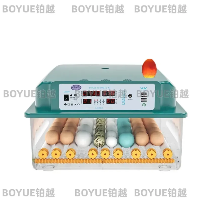 Smart Automatic Egg Incubator for Chicken Duck Goose Pigeon Quail Small Household Hatcher Machine Digital Temperature Control