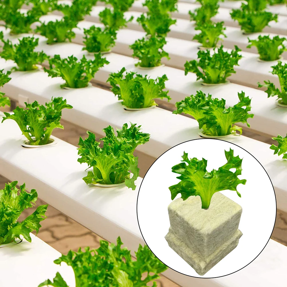 50Pcs Cube Soilless Culture for substrate Water-cultivated Rock Block 25x25x30/40mm For Growing Establishing 50Pcs