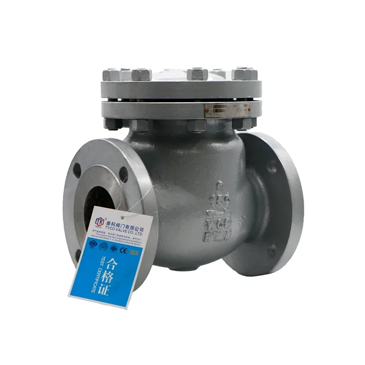 Water Wafer Check Valve Price DN50 ANSI Swing Check Valve Water Non Return Check Valve Price