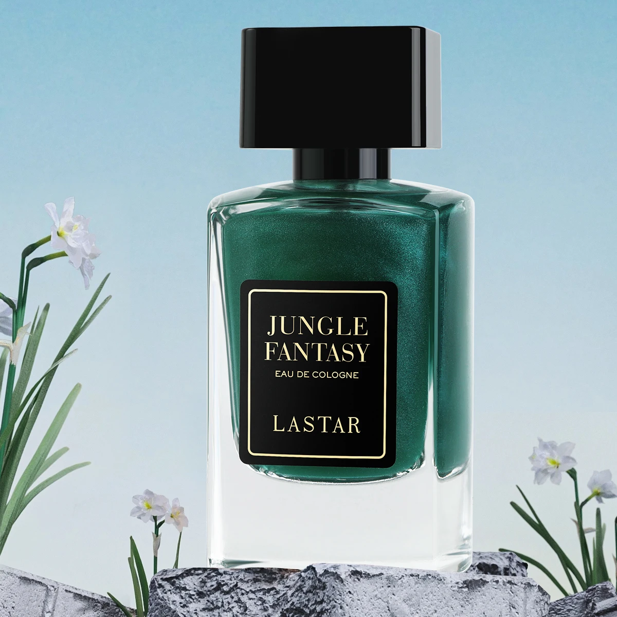 عطر LASTAR للرجال، 50 مل/1.7 أونصة سائلة، سيدار، عطر يدوم طويلاً، هدية عيد الميلاد/العام الجديد للرجال، جو المواعدة