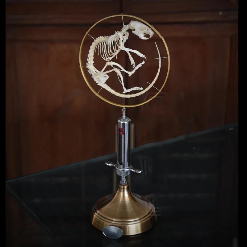 

2046 Original Mouse Bone Tabletop Bone Ornament Retro Gothic Style Specimen Horror Syringe Decoration Birthday Holiday Gift