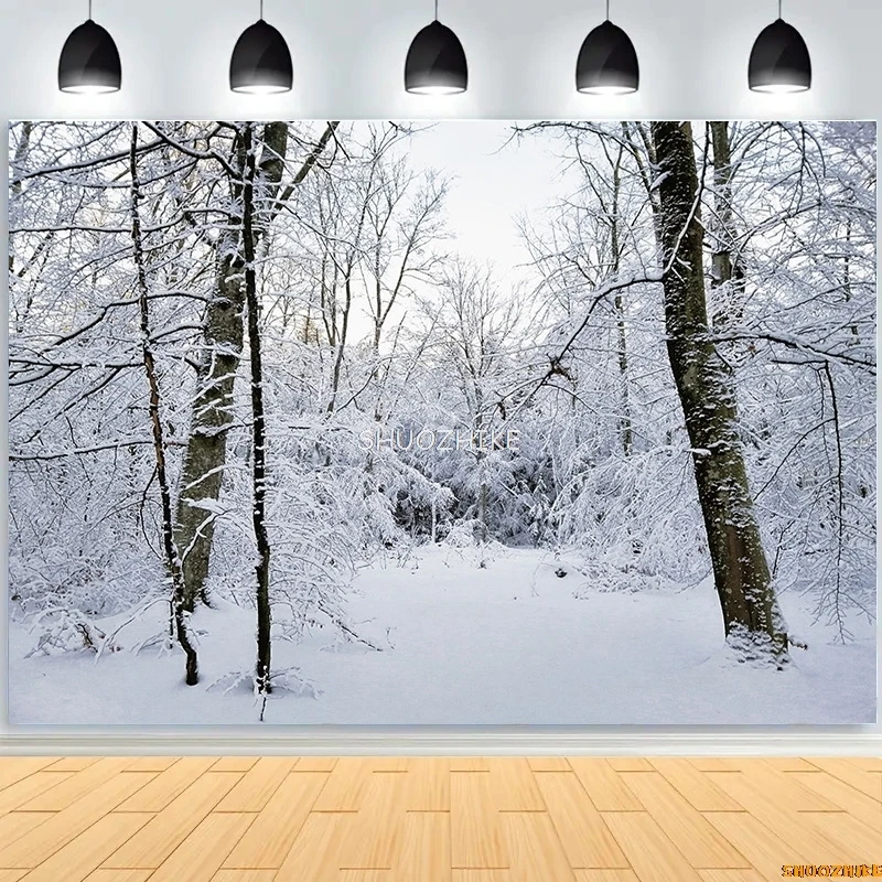 قطرات خلفية للتصوير الفوتوغرافي للغابات الشتوية ، طريق مغطى بالثلوج ، ندف الثلج ، أشجار التنوب ، خلفية الصورة ،