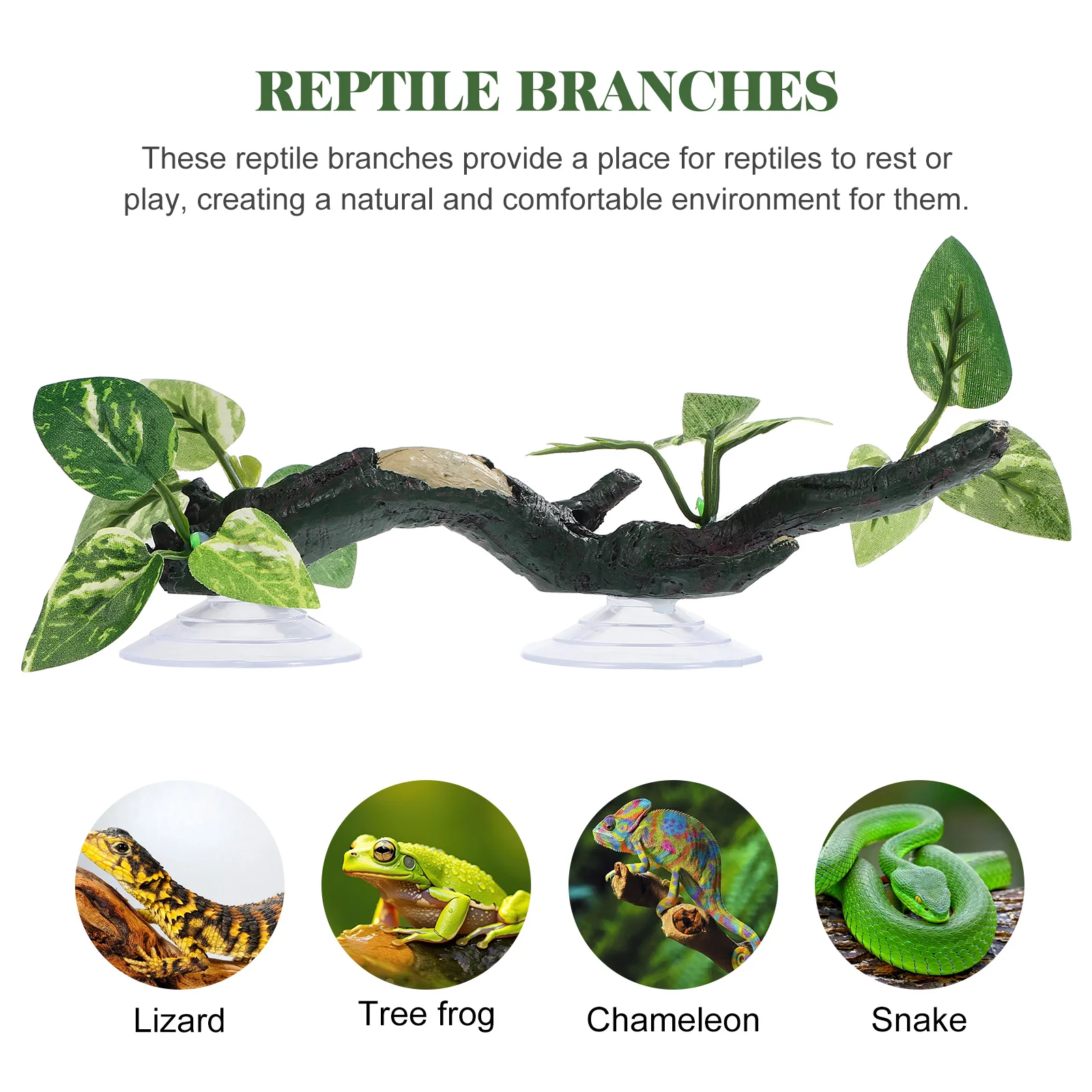 

Reptile Branches Decor Realistic Snake Tank Accessories Resin Plants Tank Accessories Suitable Size Easy Use Pet Supplies