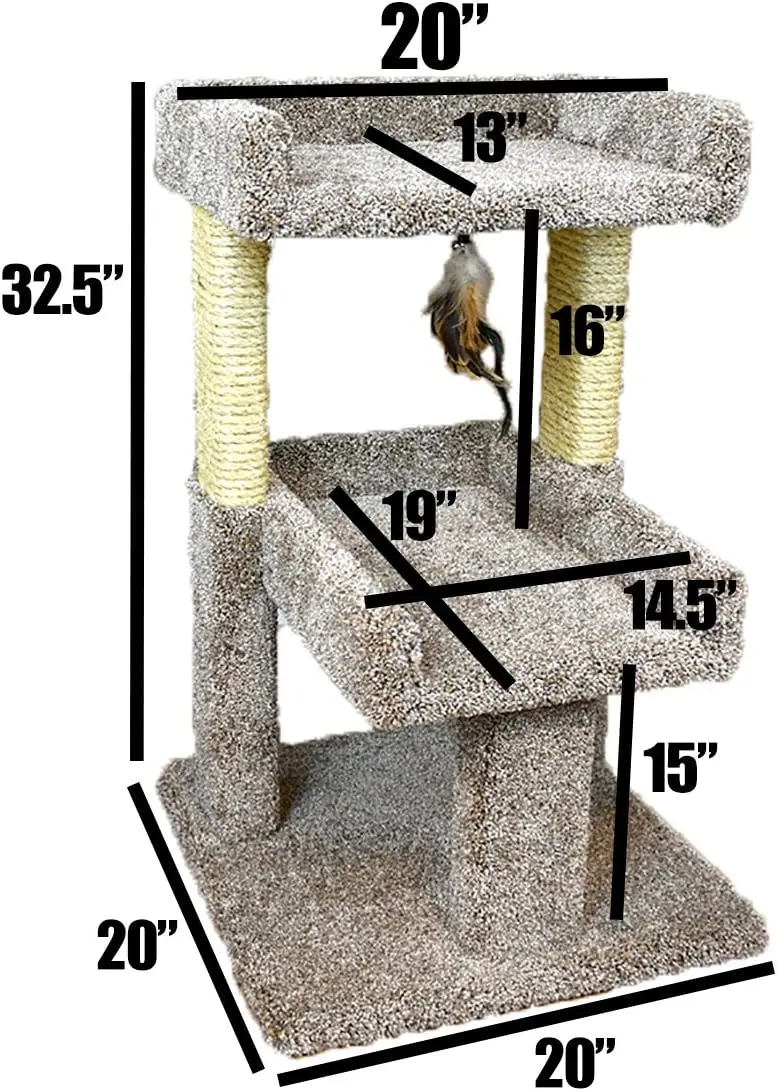 كوندوس 110215 جثم لعب القطط الكبير، كبير، محايد