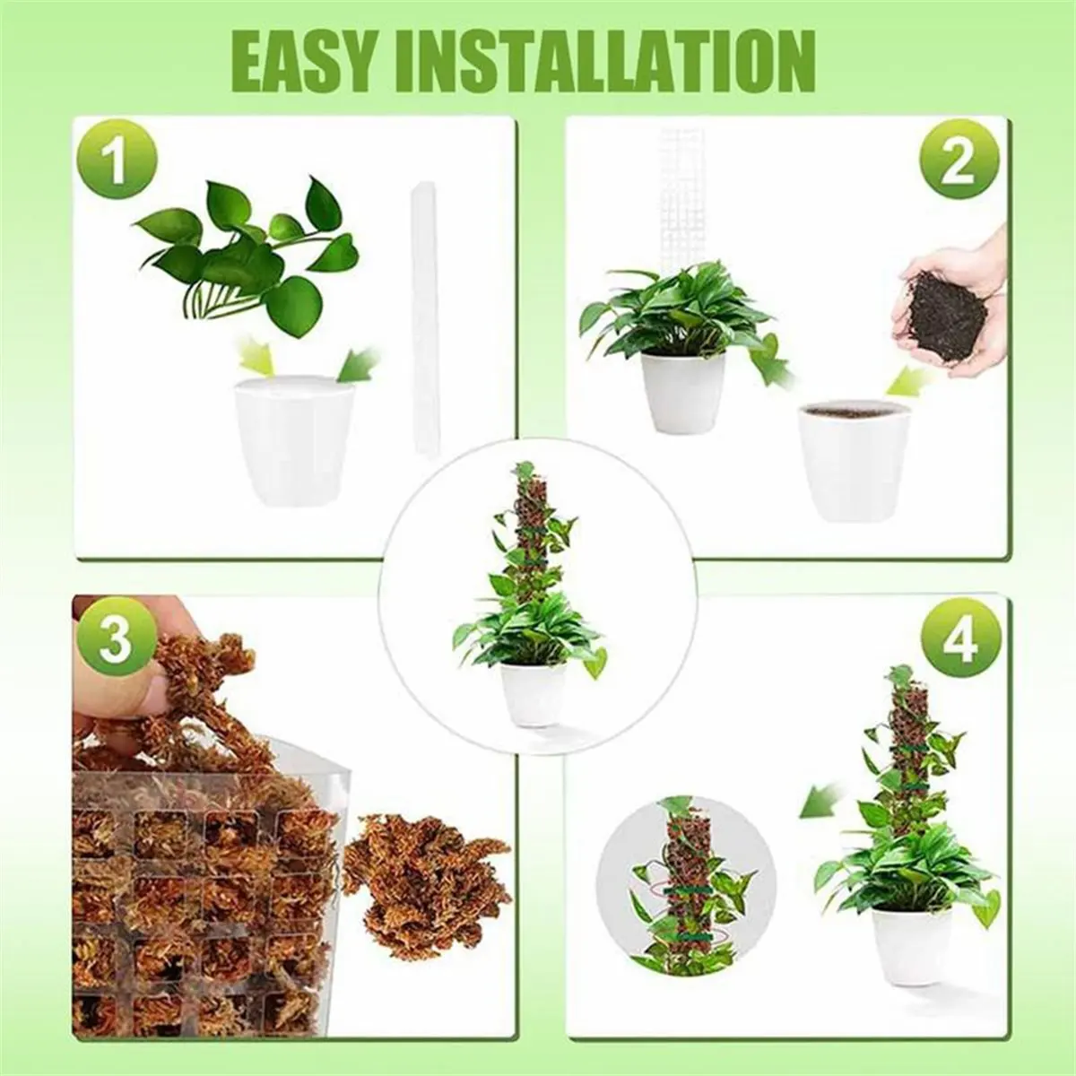 2026 Trend Plant Plastic Moss Poles for Plant Stakes and Sphagnum Moss to Support Climbing Plant Poles Turtle Back Moss Poles