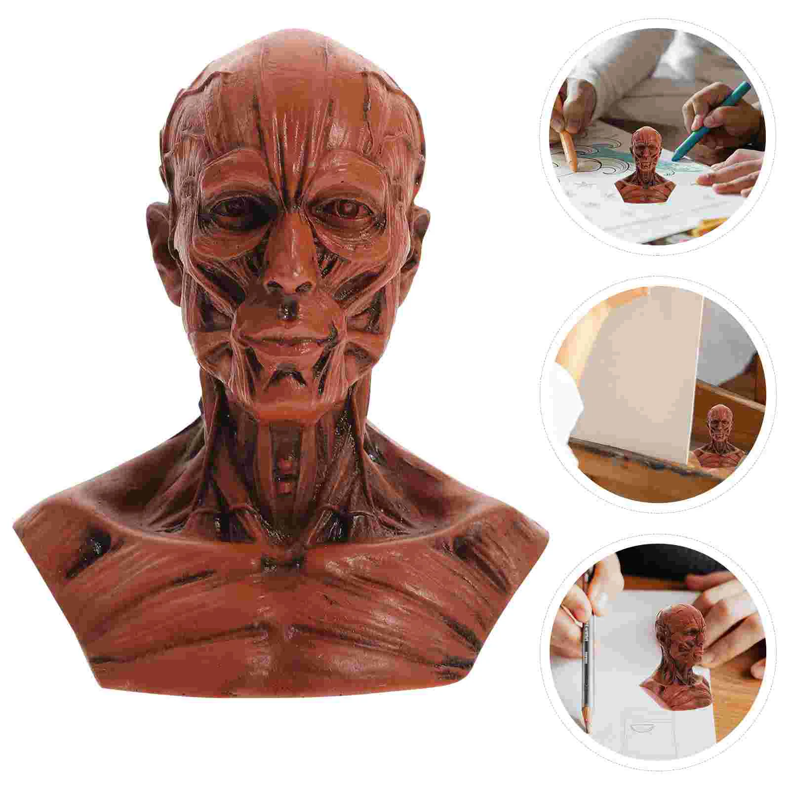 Sketch Statue Creative Half Human Model Models Desktop Decorative Sculpture Resin Artist Figurine Anatomy Skull Head